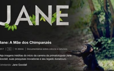 Jane: A mãe dos Chimpanzés