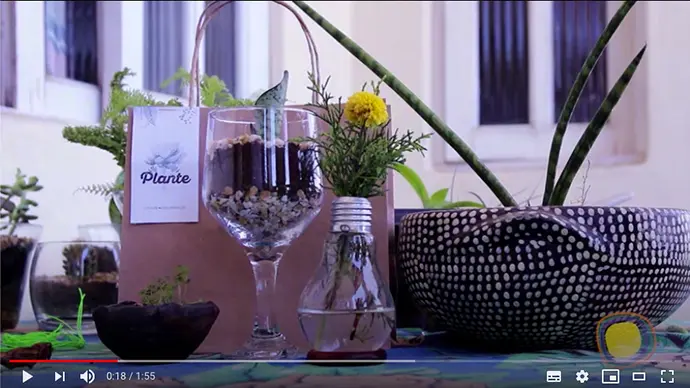 Plantar Com Material Reaproveitado Thumb