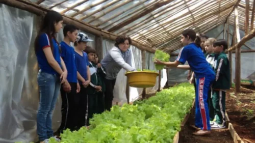 Barriga Cheia Lixo Vazio Thumb