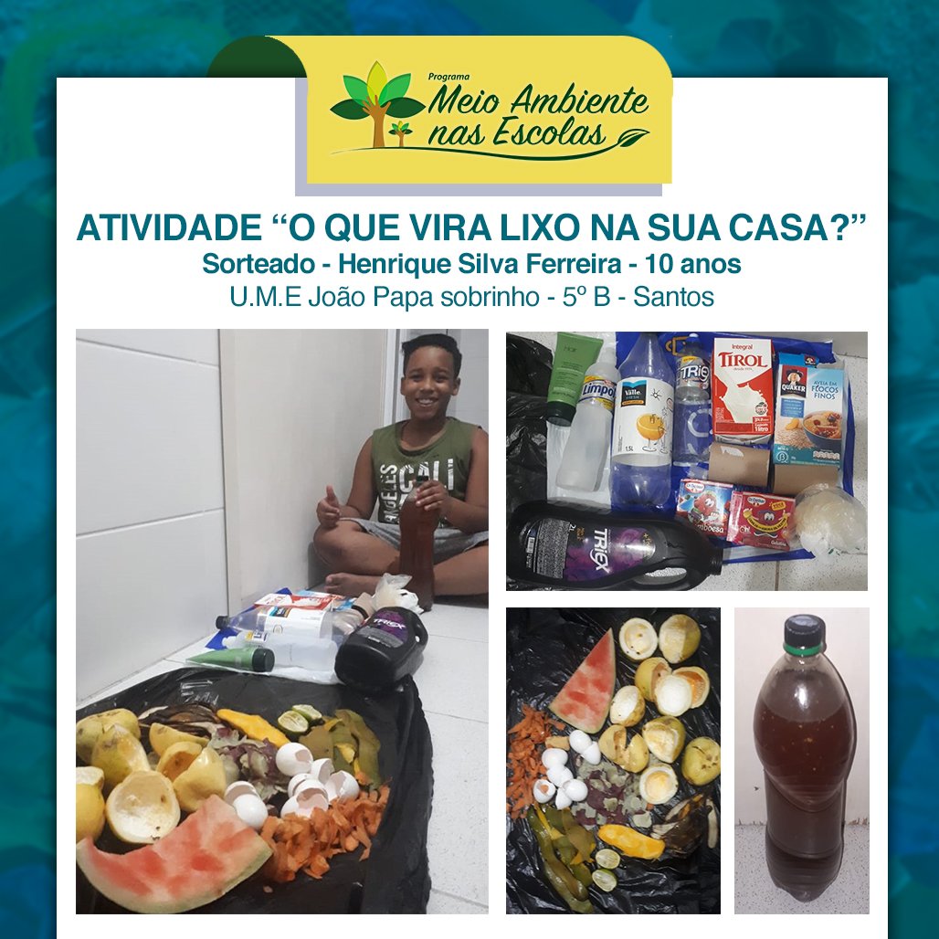 Henrique Silva Ferreira