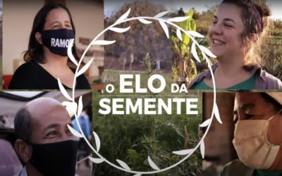O Elo da Semente