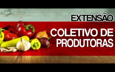 Coletivo de Produtoras Elizabeth Teixeira&nbsp;