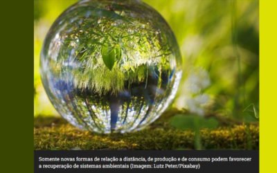 Pandemia e Meio Ambiente:  Impactos momentâneos ou nova normalidade?