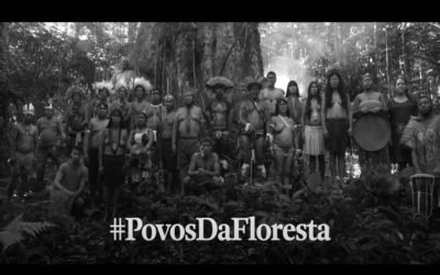 Povos da Floresta – Os guardiões do nosso futuro precisam de ajuda.