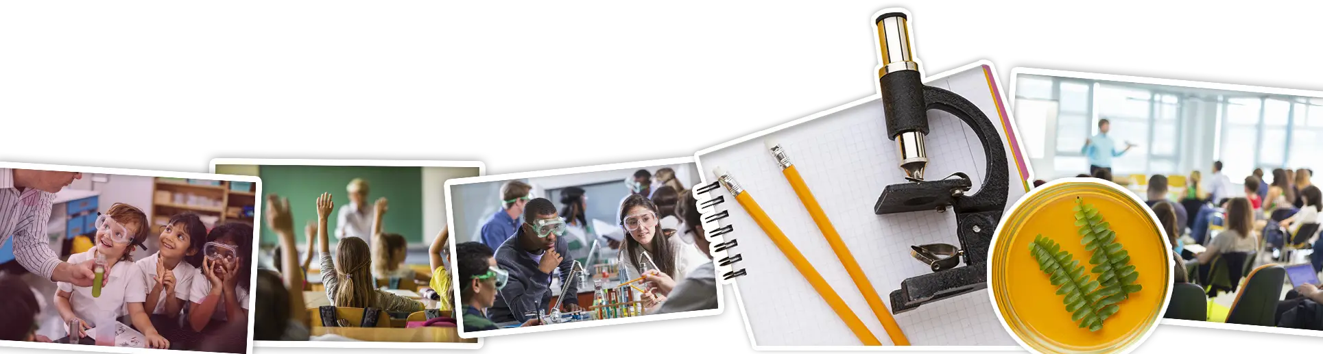 Almanaque Foto Deco4